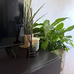 Machadinho 公寓